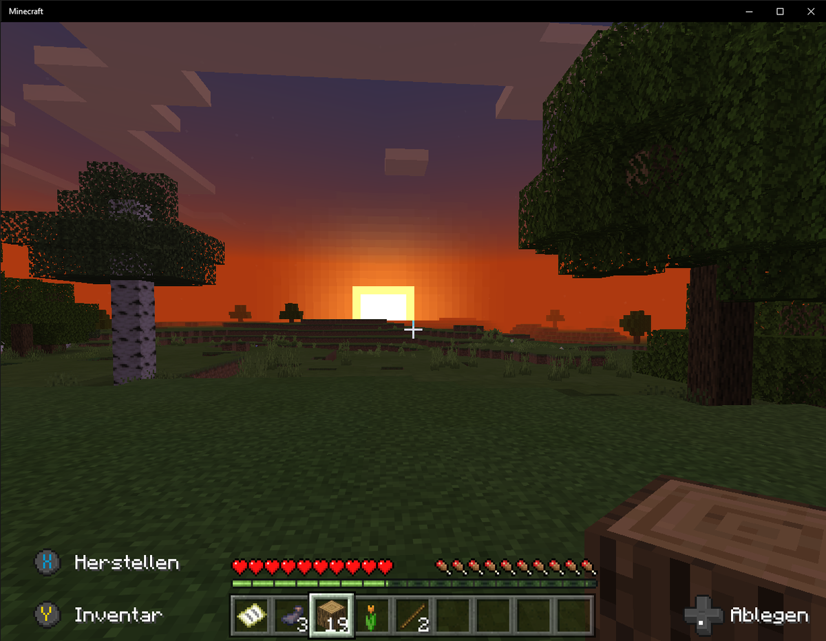 aa2ac90d260f7254 Minecraft 20.01.2020 21 09 29