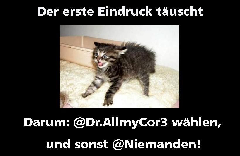 f1b8aedf63ca Allmy und Niemanden Katze