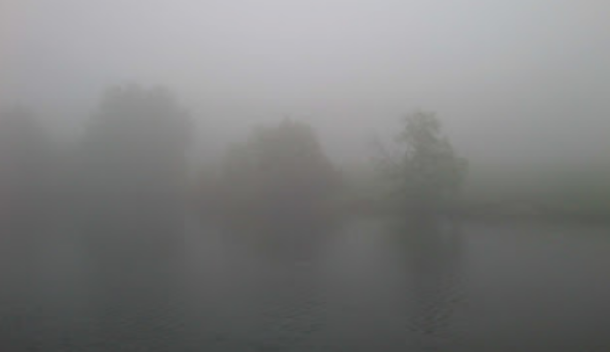 nebel - Kopie