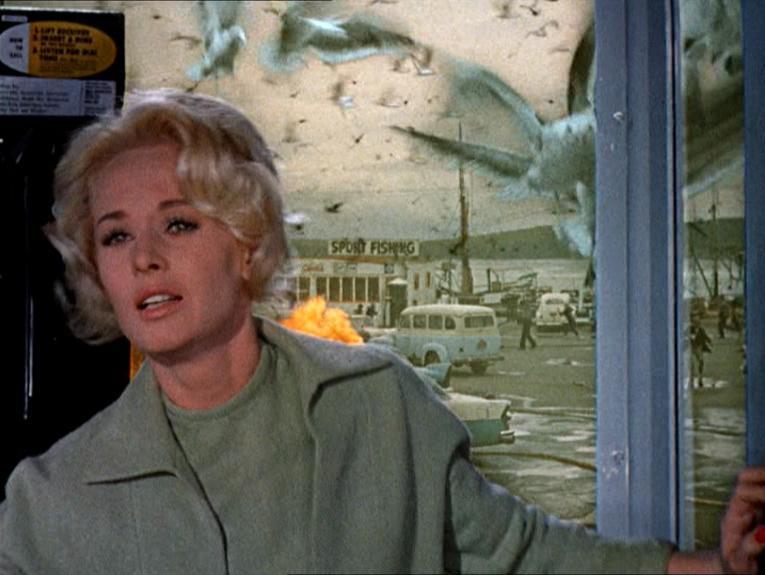 Birds Tippi Hedren 4