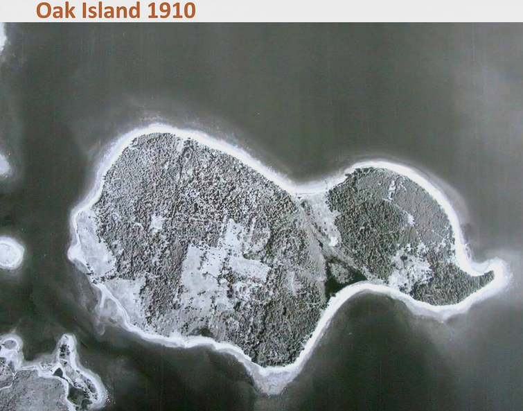 Screenshot 2026-04-06 164345