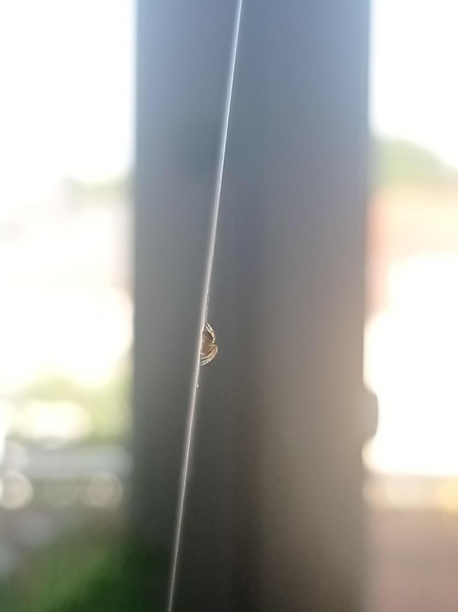 IMG 20250617 180734