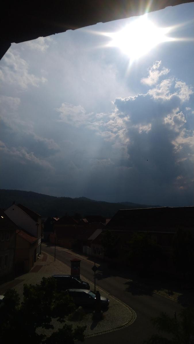 DSC 0110