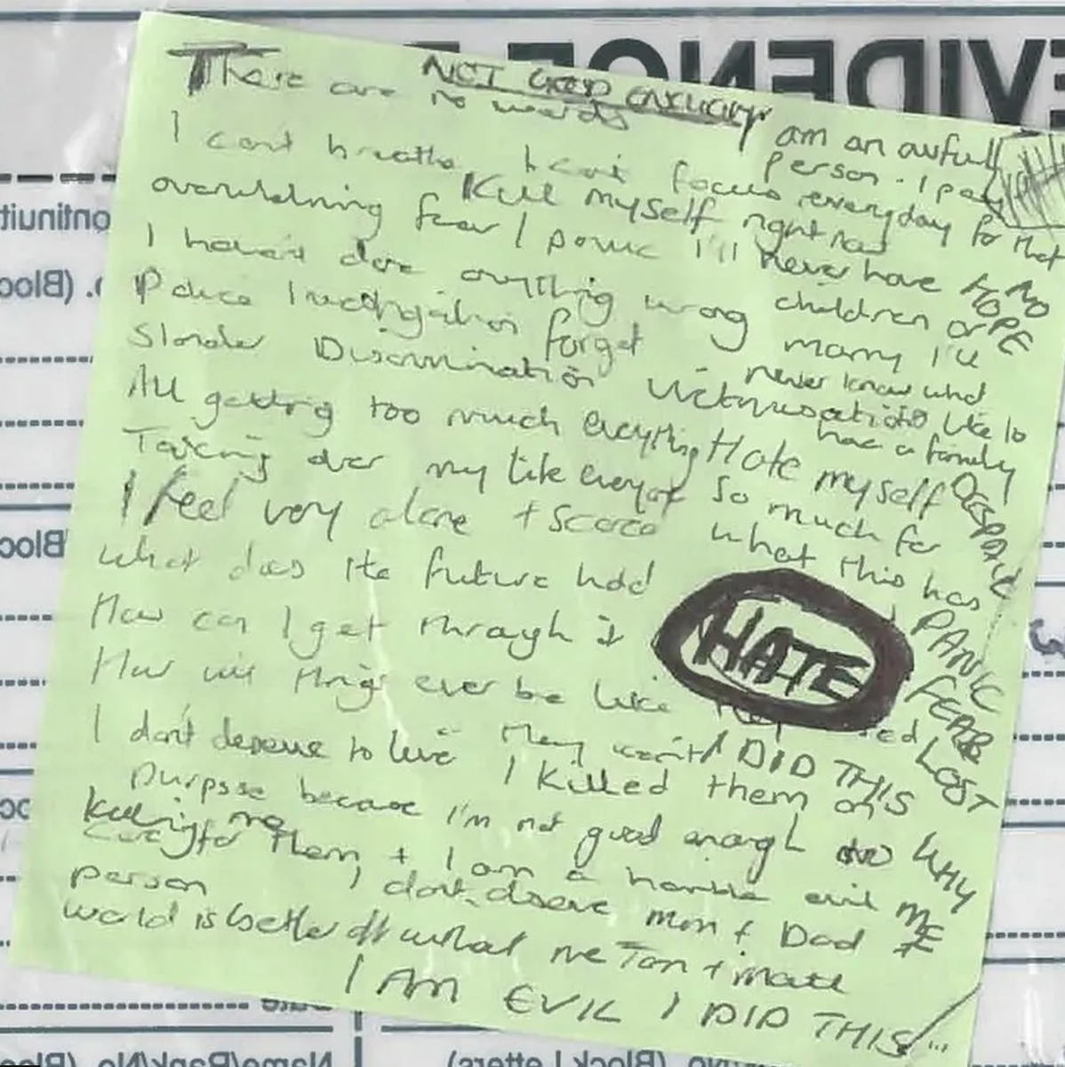 Screenshot-2026-02-11-at-12.49.17