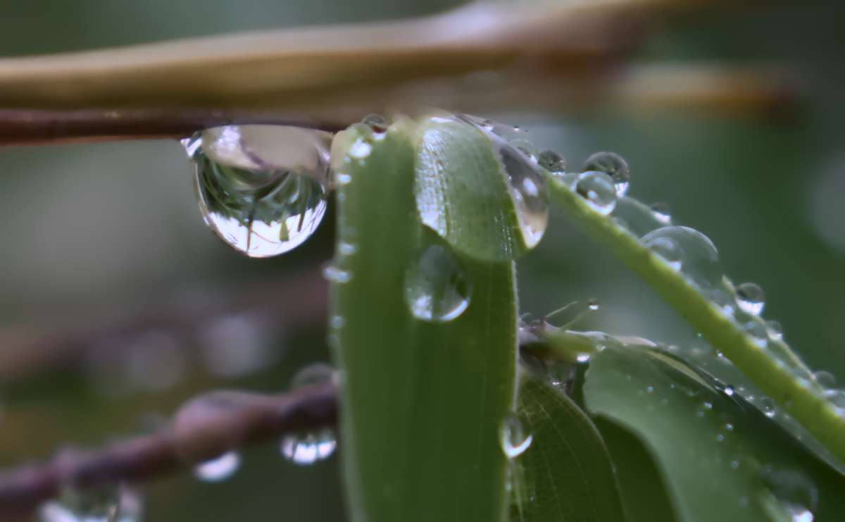 Wassertropfen