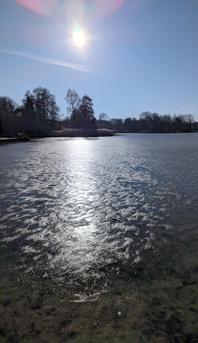 70f5662c-6229-4df3-a7b1-6e1dc133edfd cop