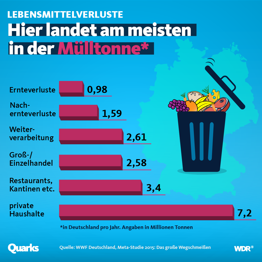 Tafel-Lebensmittelverschwendung