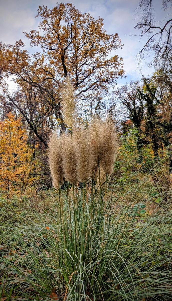 85734f18-62a0-4c0d-8576-2e51b5157057 cop