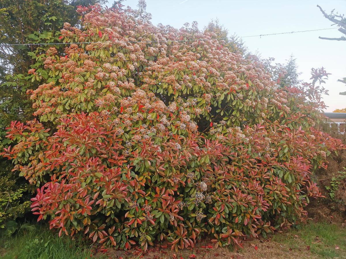 IMG 20250509 205831