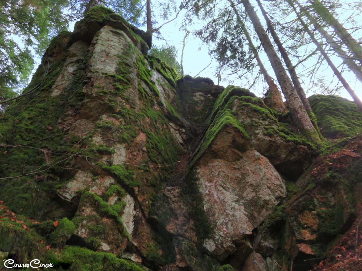aupirschweg3