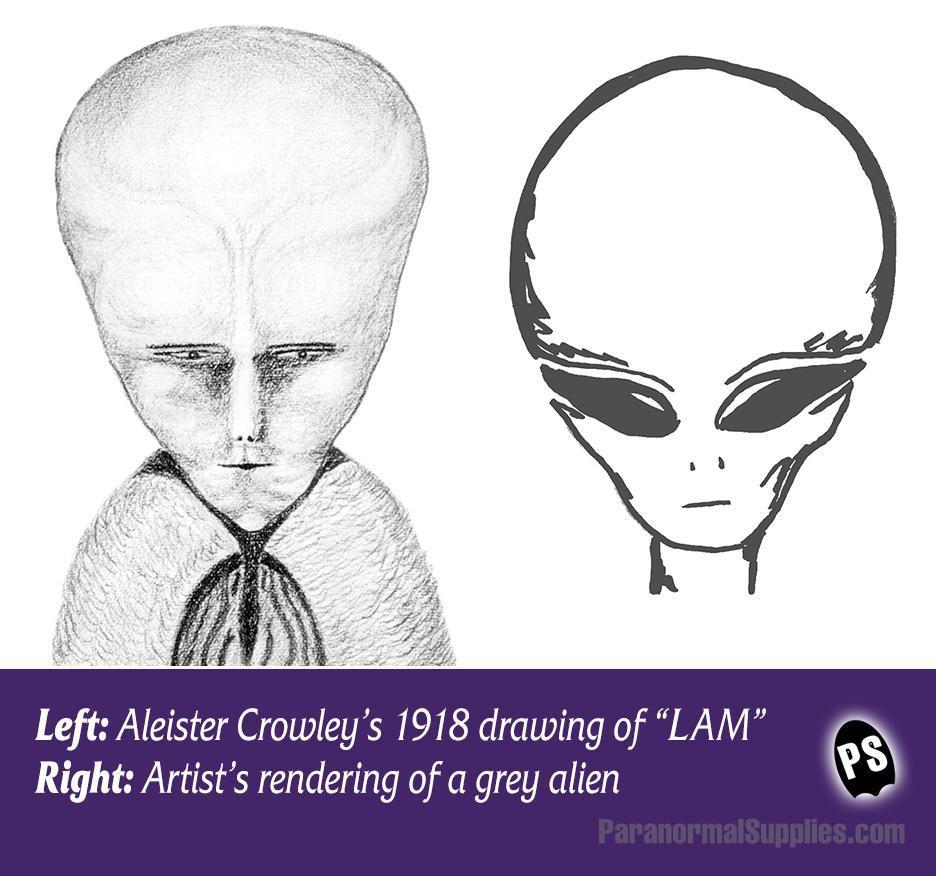paranormal-supplies-lam-alien-drawing2