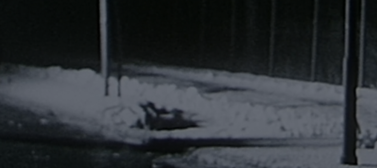 Originalbild Leiche2