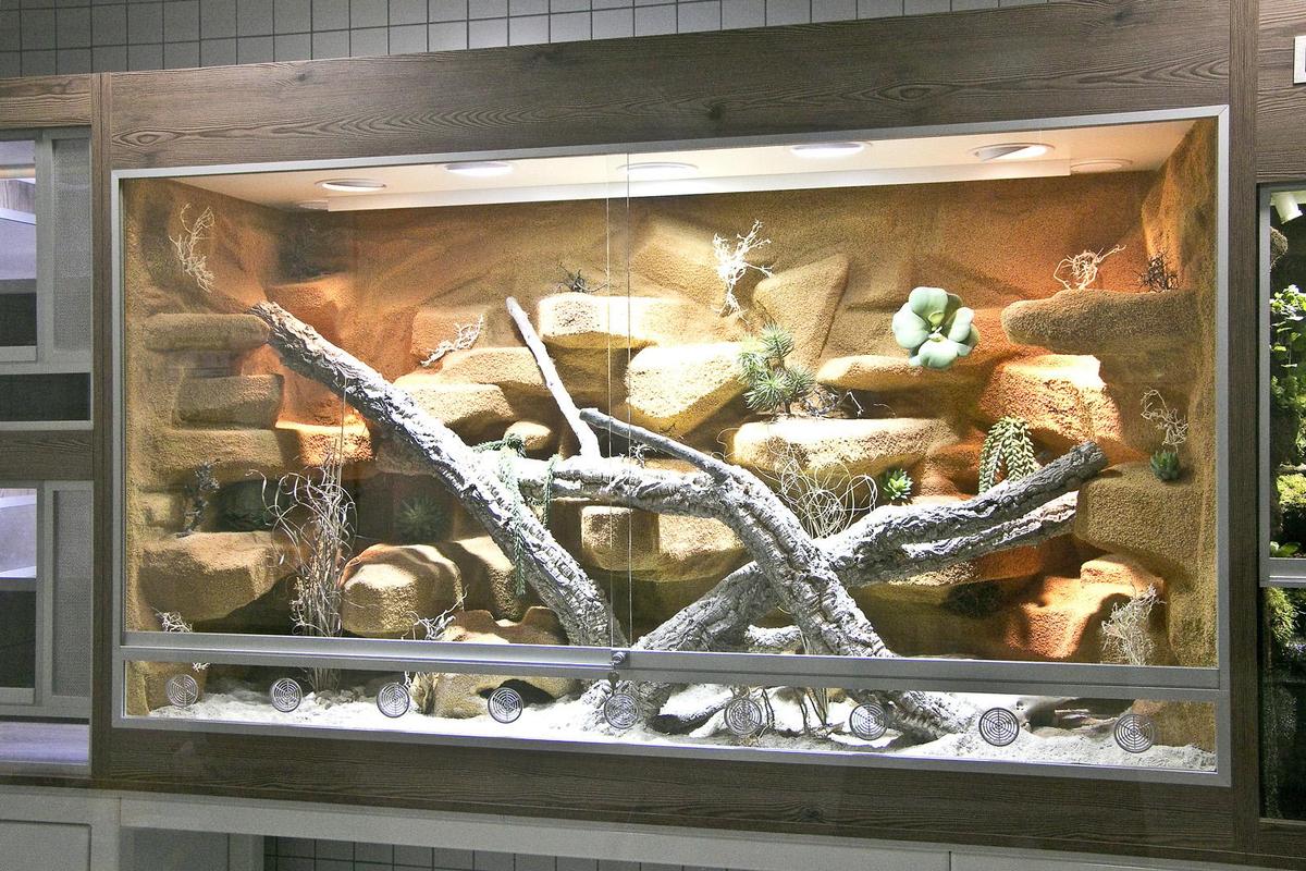 Wuestenterrarium-Totale