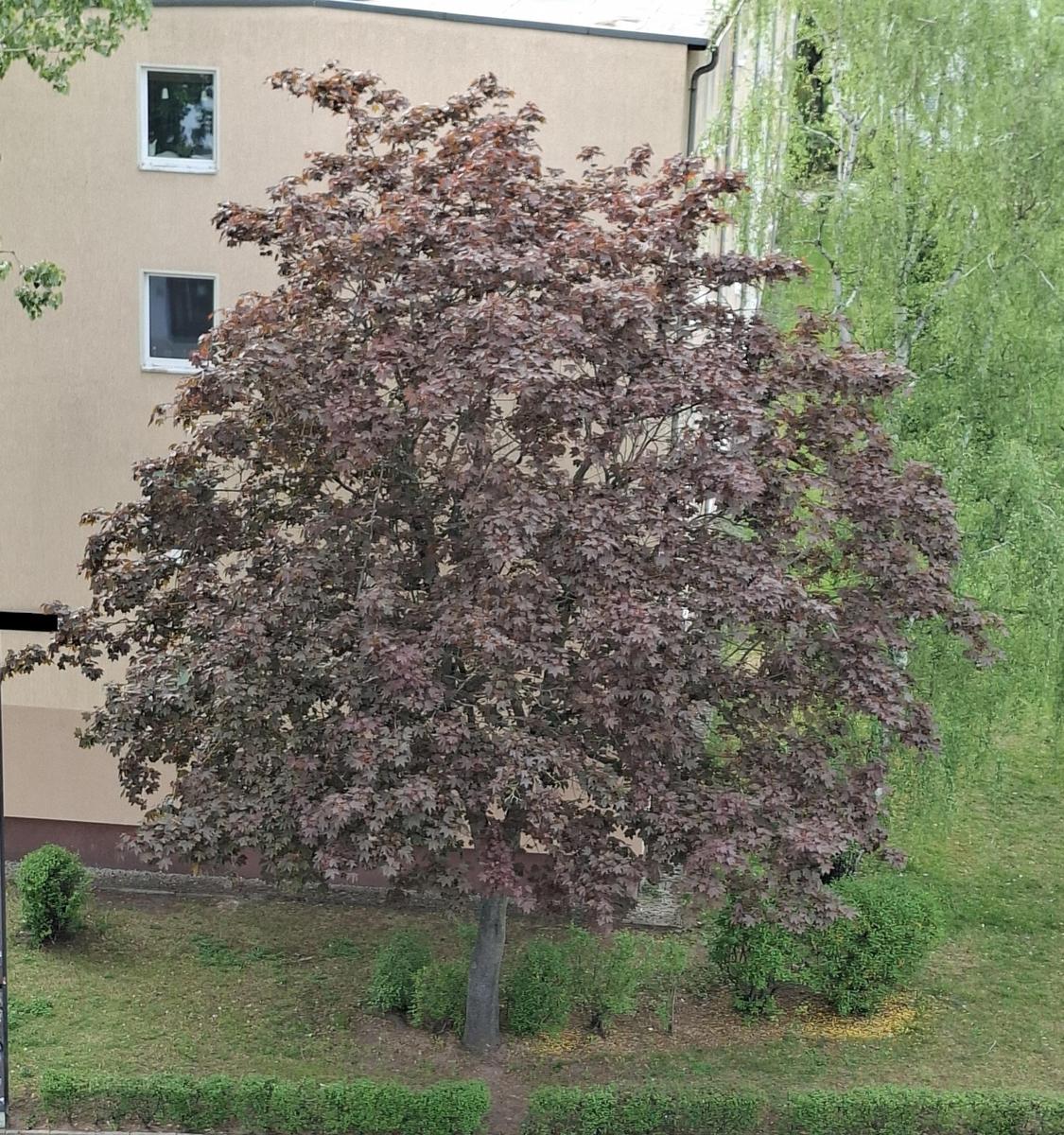 xx01
