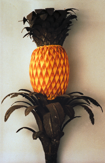 Ananas3