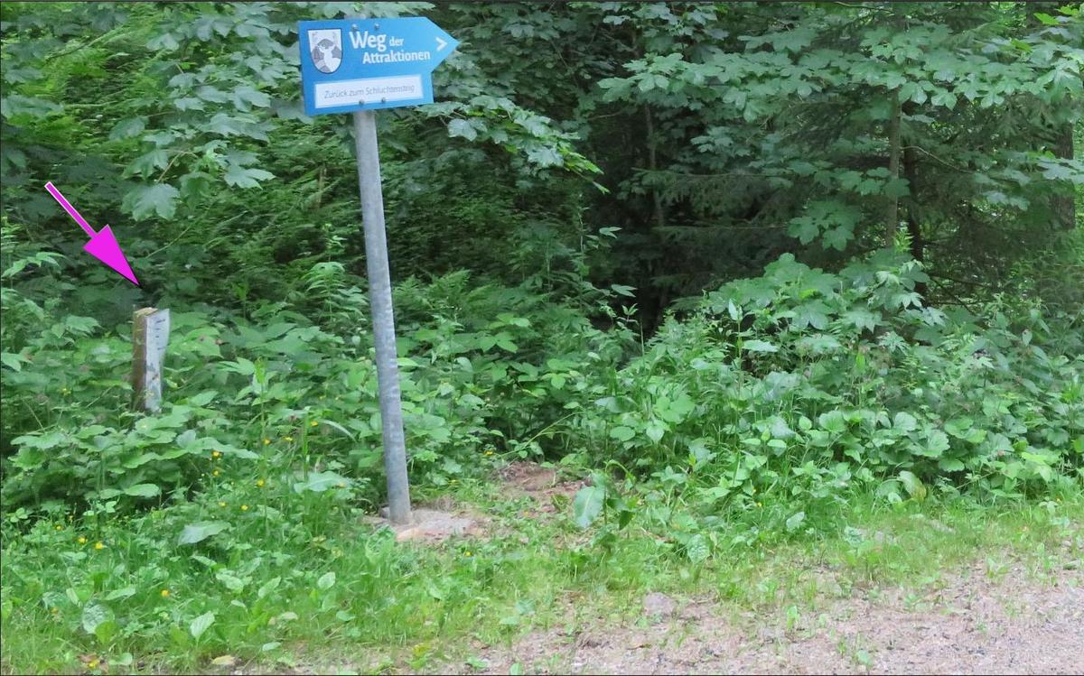 schildauzumhirsch1