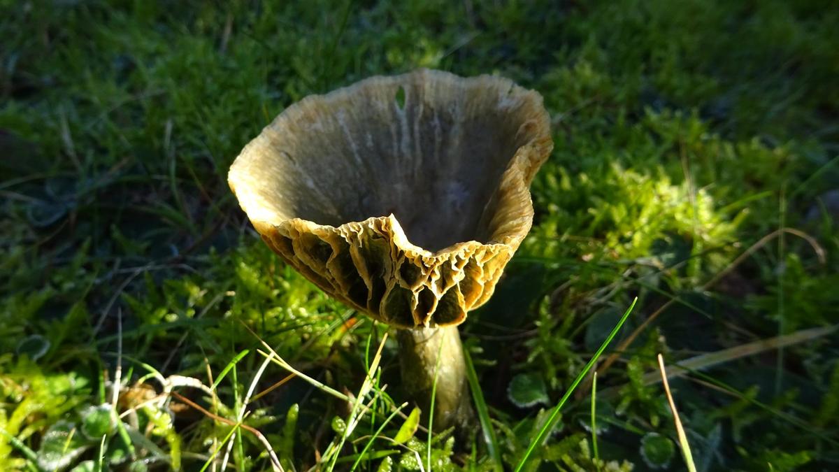 DSC00177