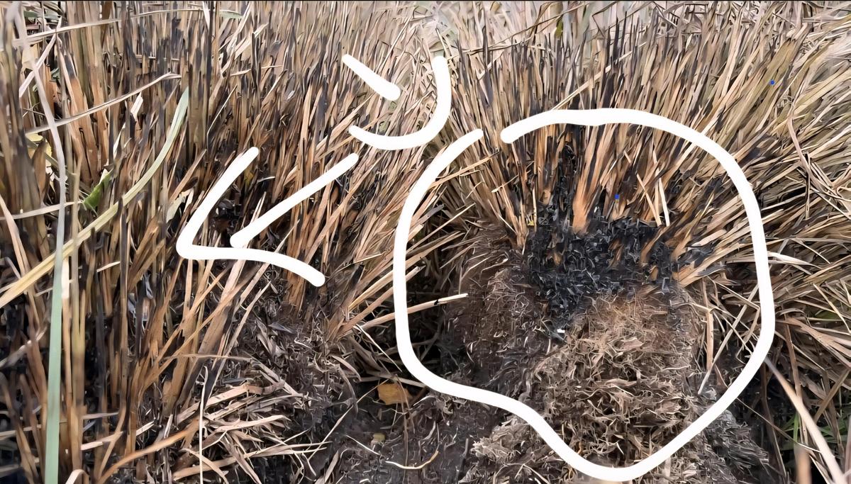 Screenshot 20251105 214756 Allmystery