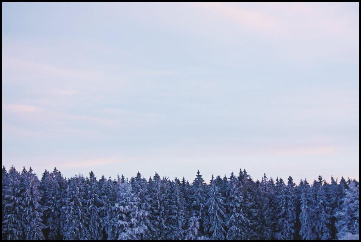 bluedawn