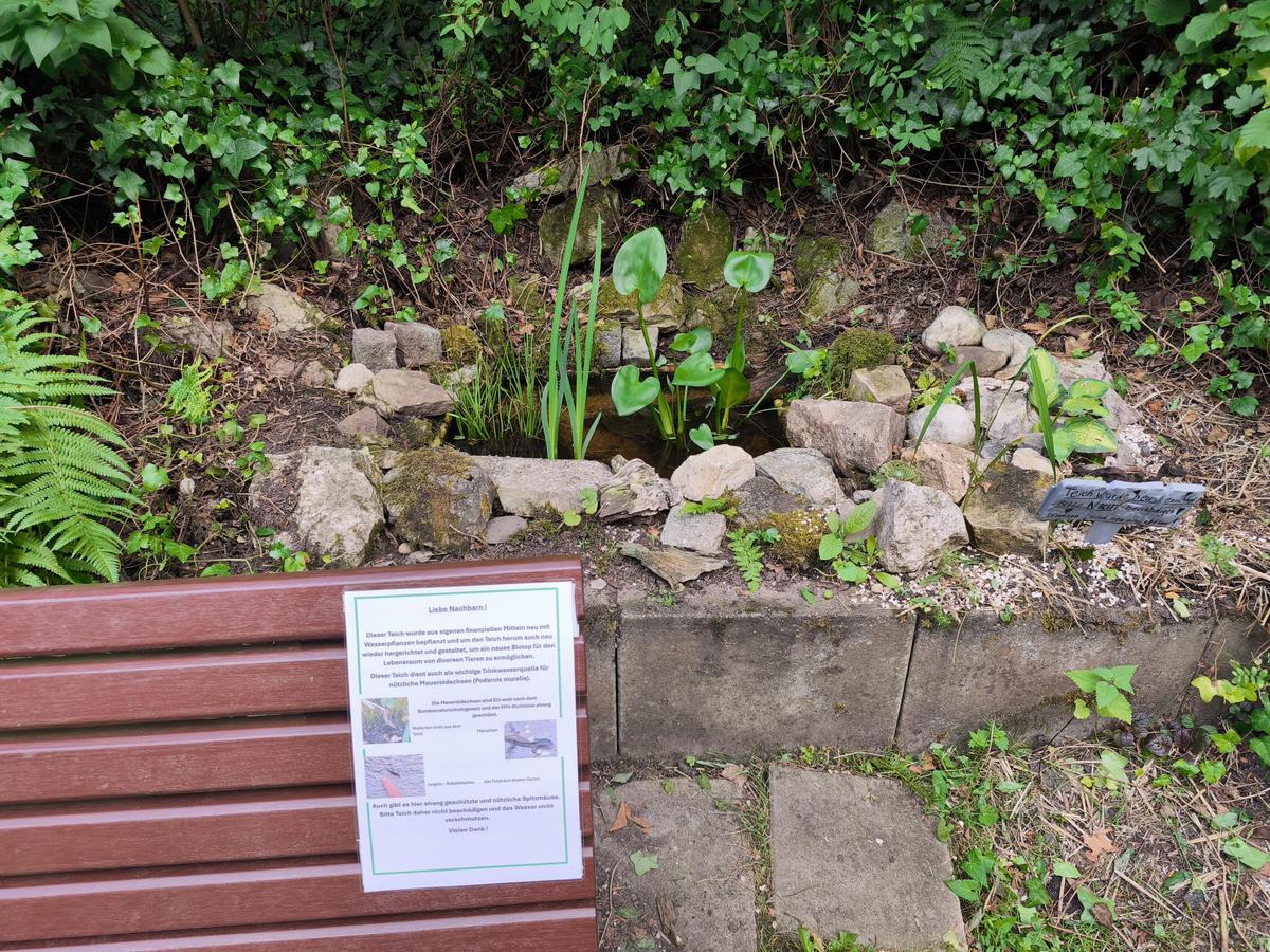 IMG 20260721 195931