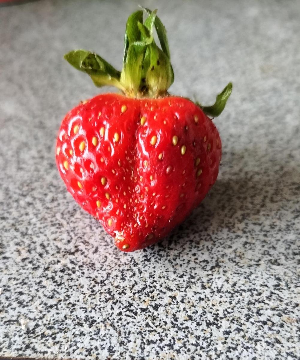 IMG 20230419 140101