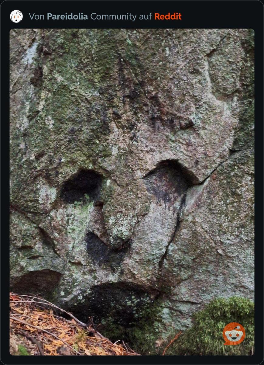 RDT 20251025 1035538981494323455792032