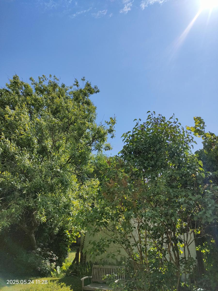 IMG20250524112856