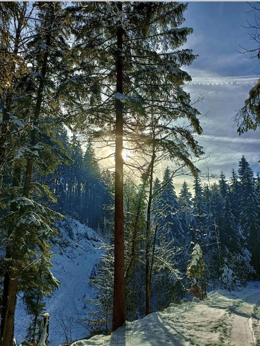 Screenshot 20260113 202024 Chrome