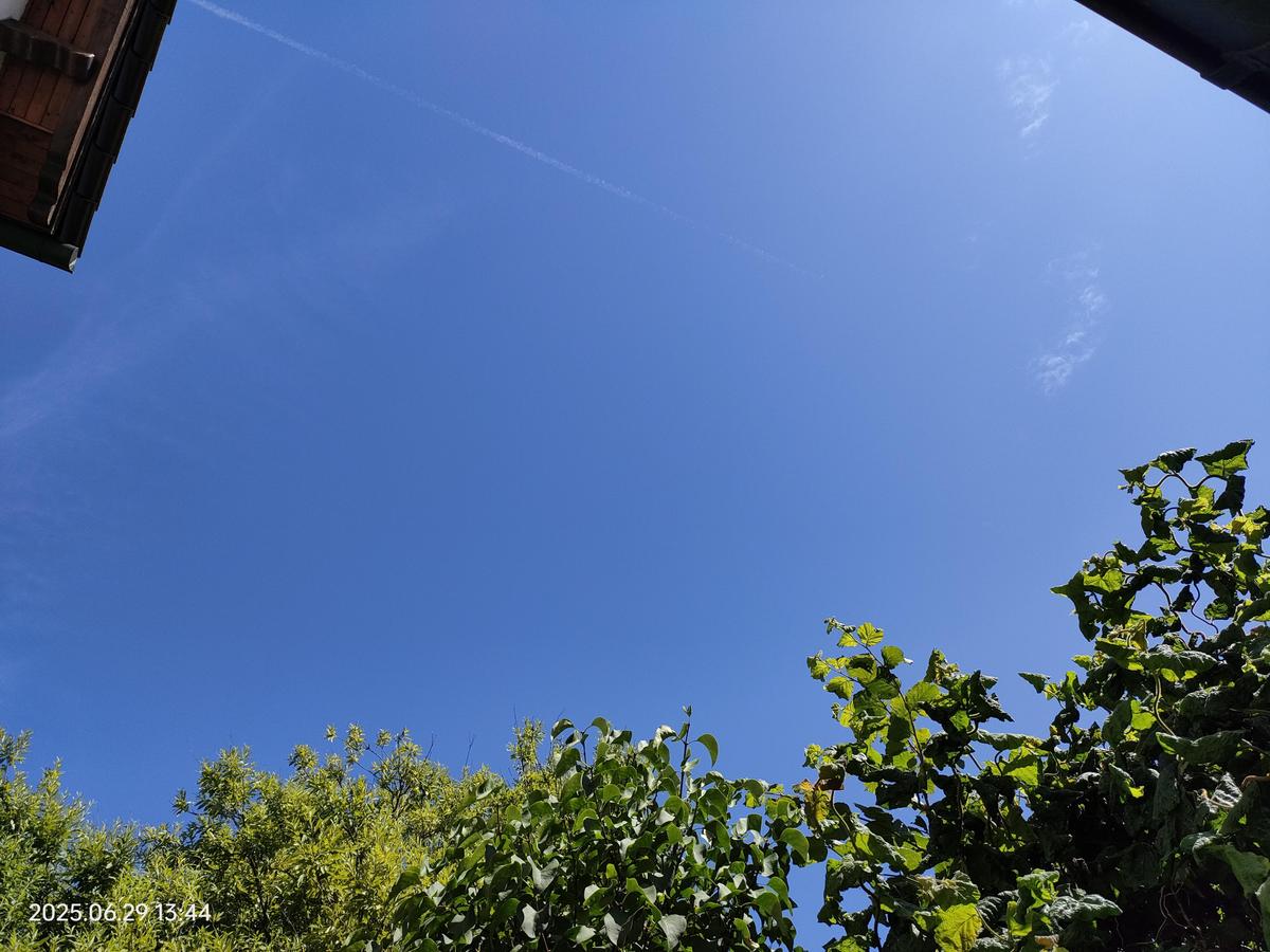 IMG20250629134444