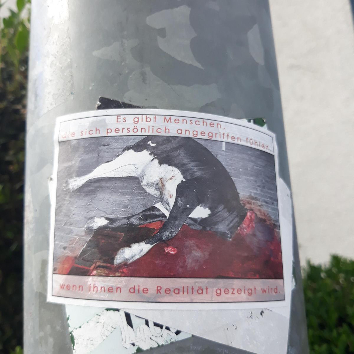 20240617 170657