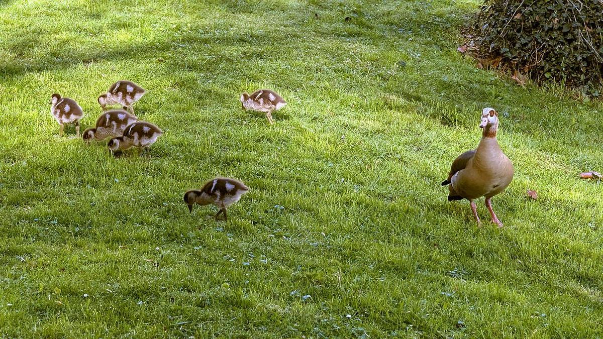 a61f782e-c380-496a-adc6-59229ef1c246