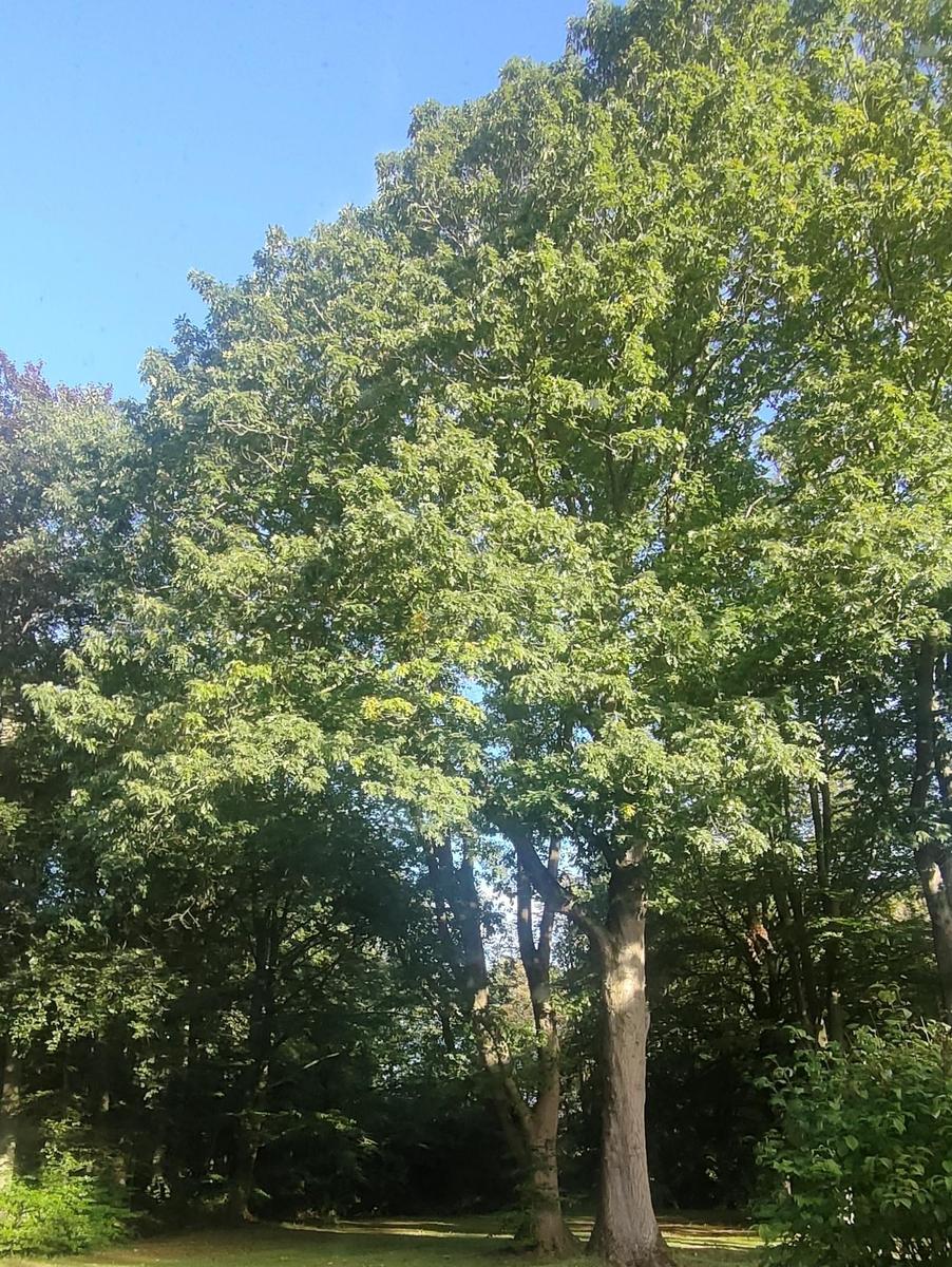 IMG 20260922 084148