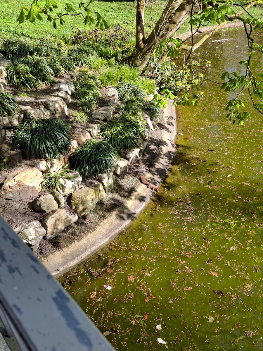 Palmengarten 104