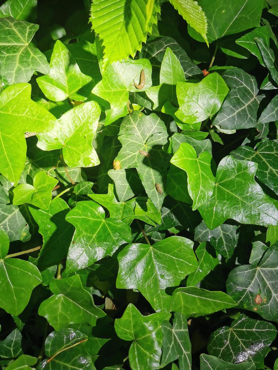 IMG 20260530 004134