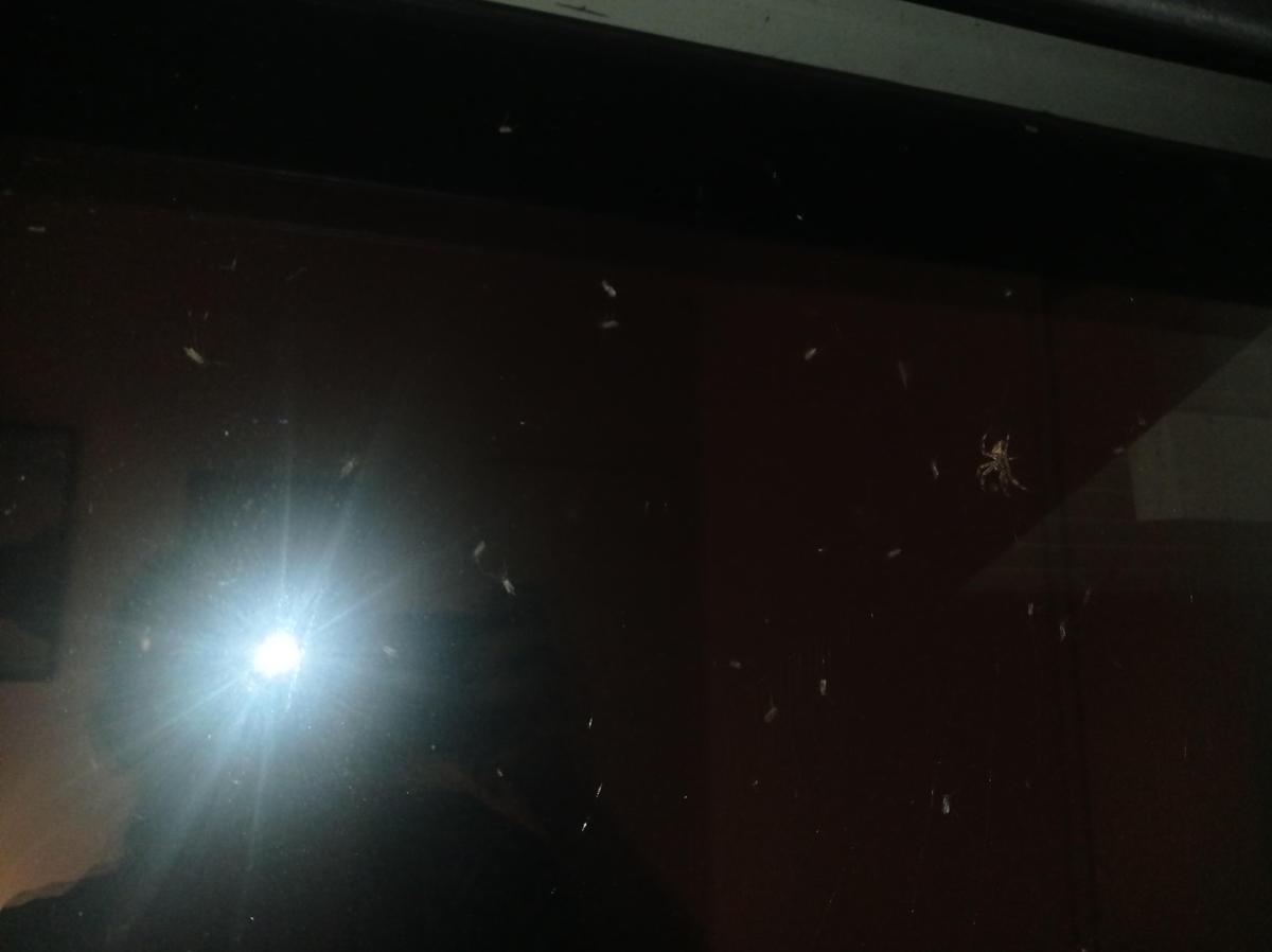 IMG 20250828 222200