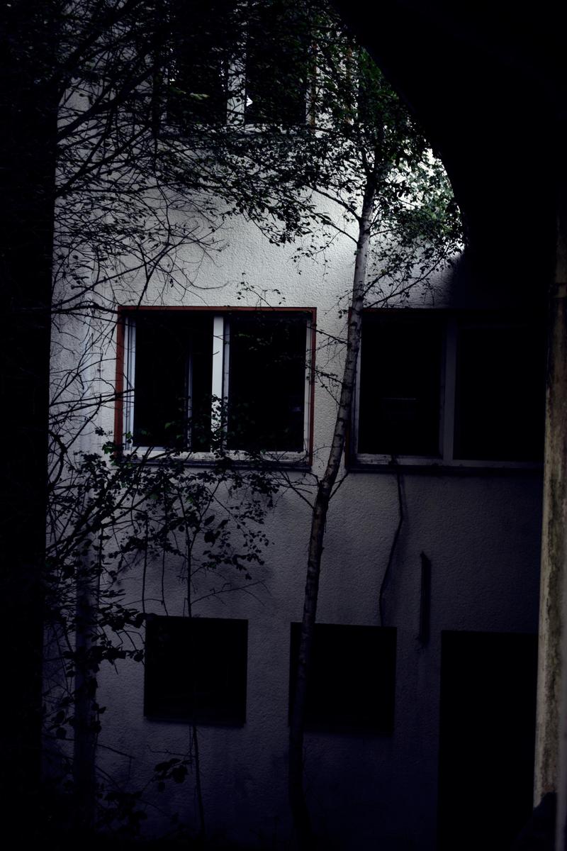 DSC 0206