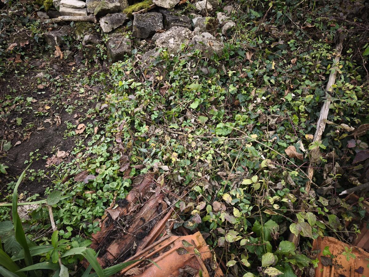 IMG 20251016 141838