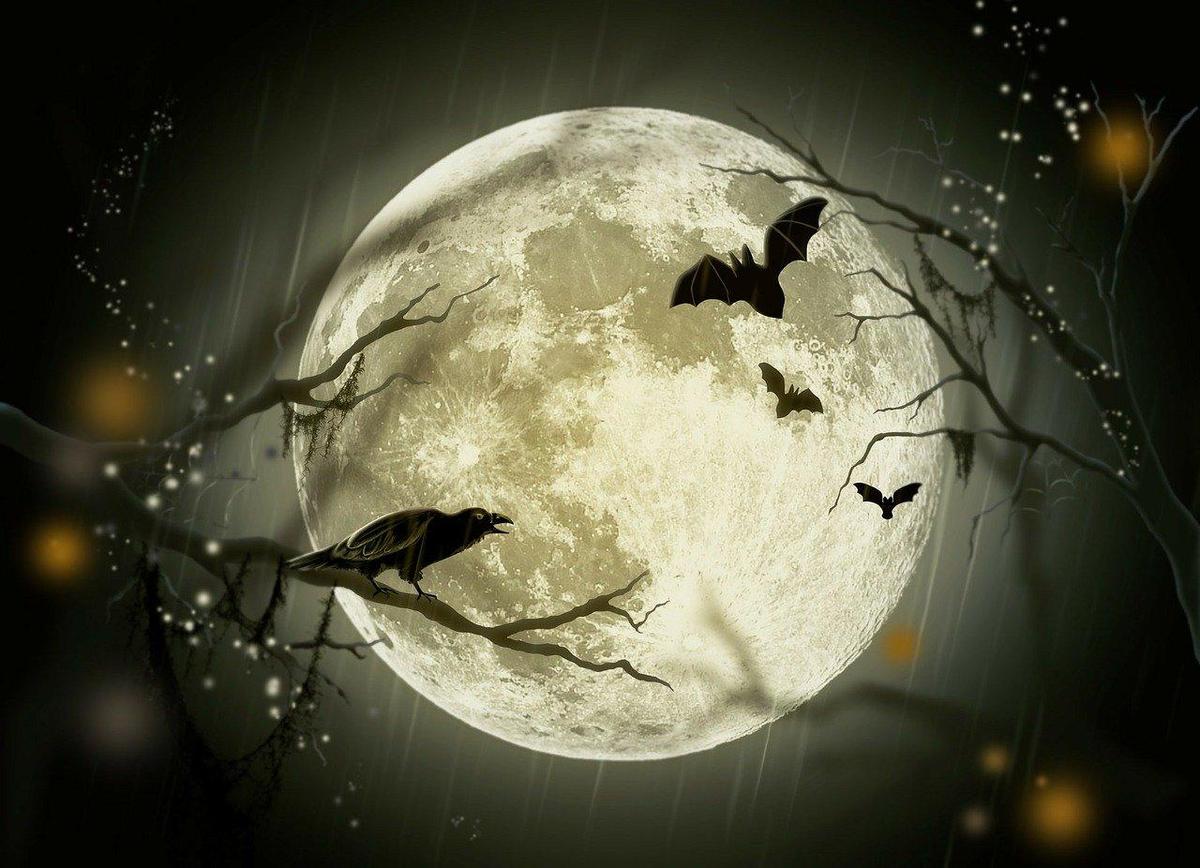 halloween-72939 1280