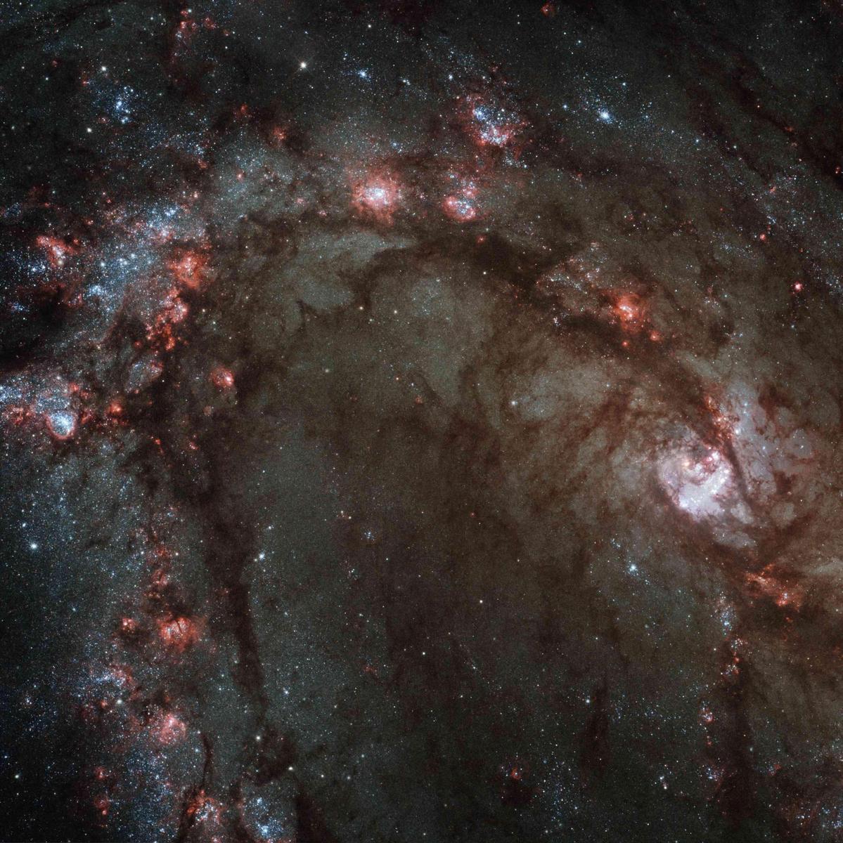 august-26-2009-messier-83
