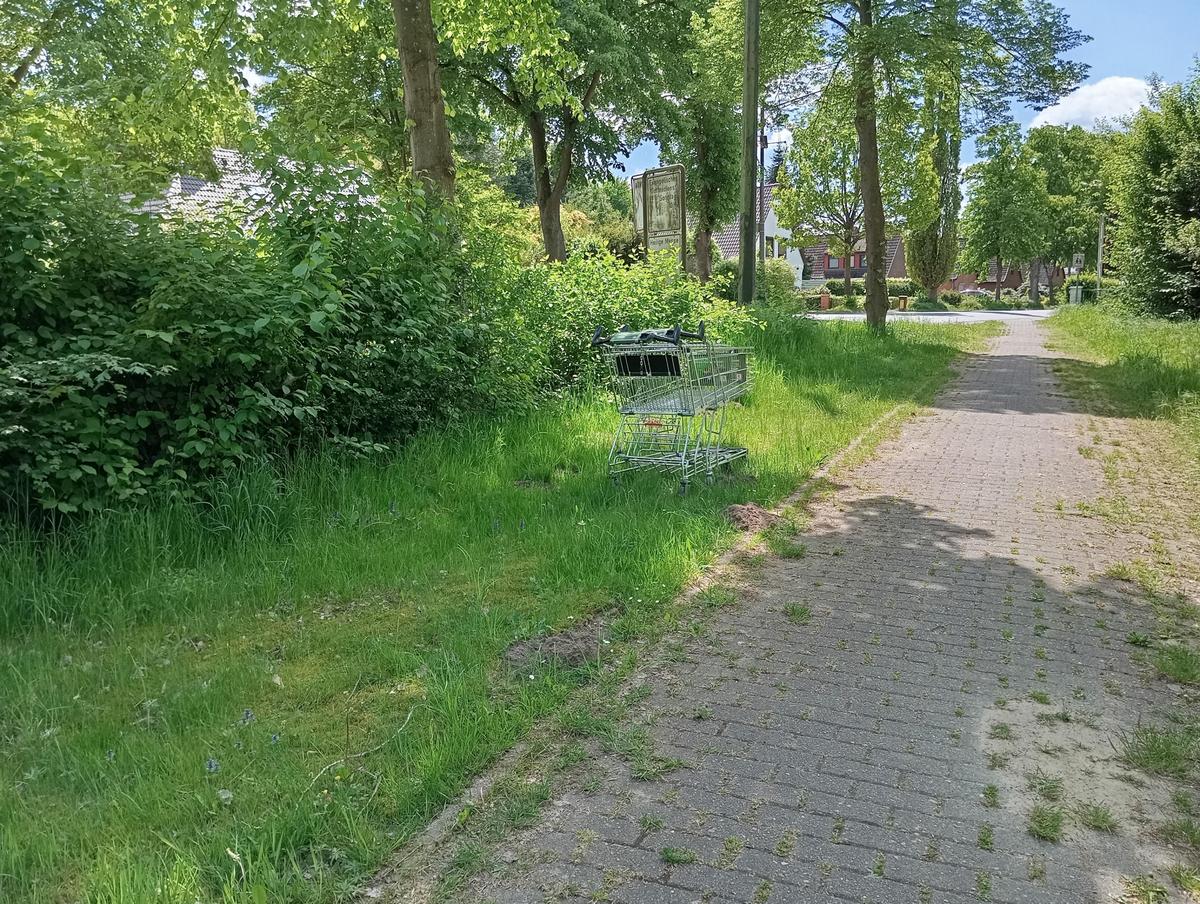 IMG 20250505 132738