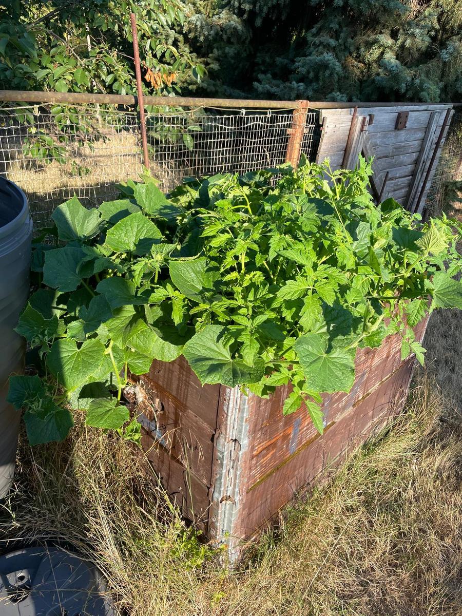PrepGartenAllmy