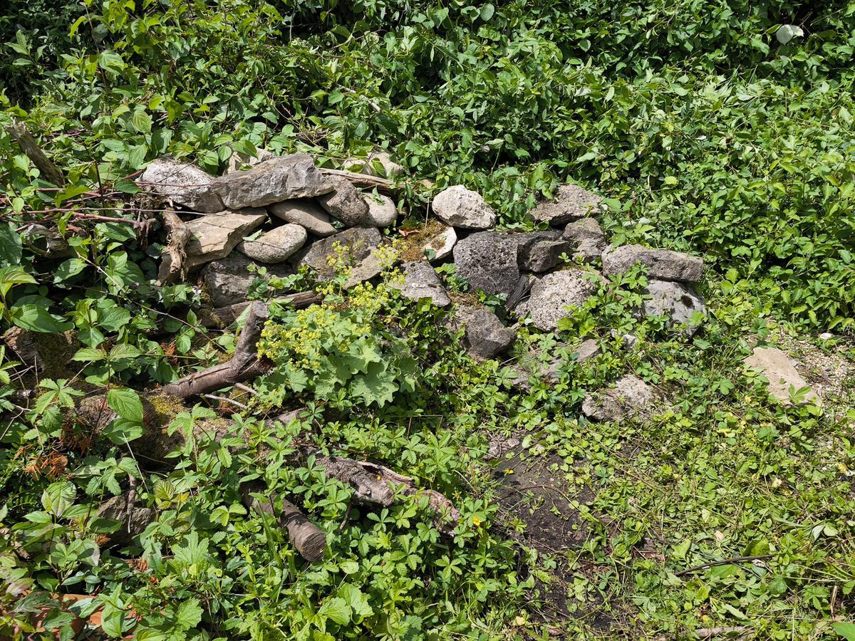 IMG 20260614 125628