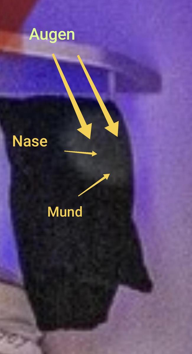 IMG 20250329 051600