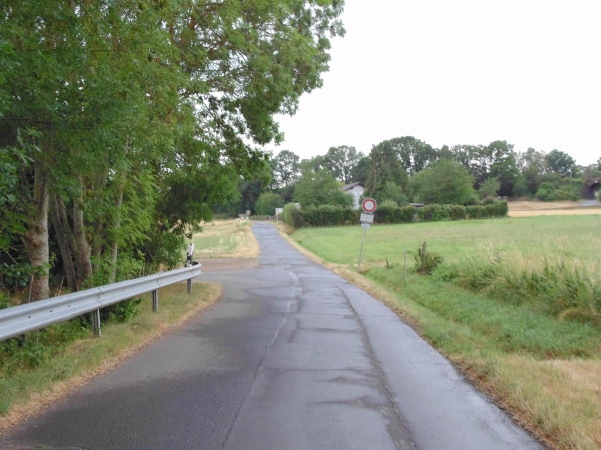 DSC00961