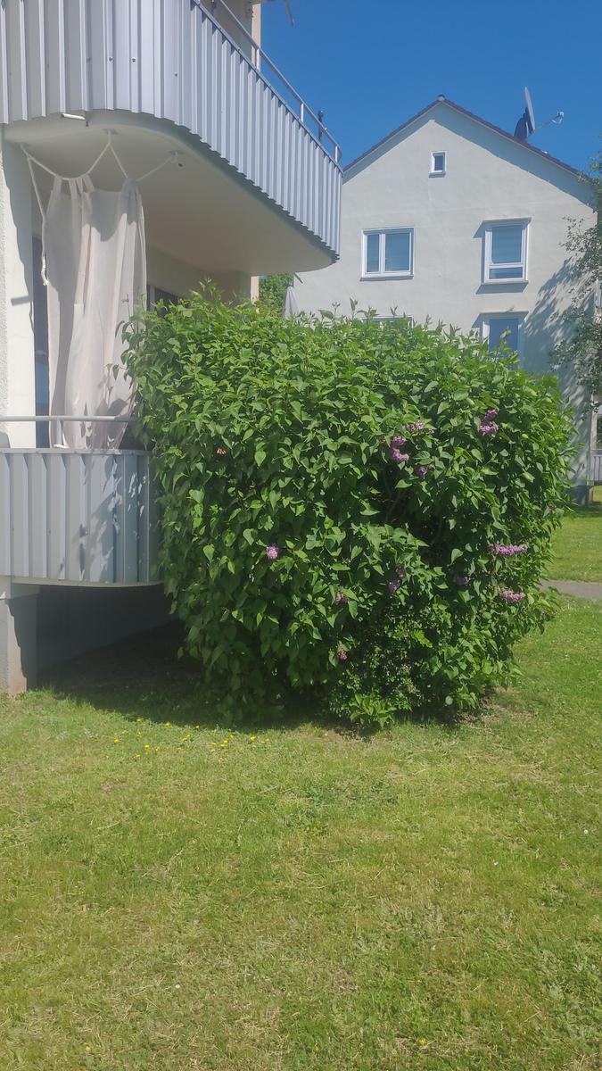 IMG-20250501-WA0008