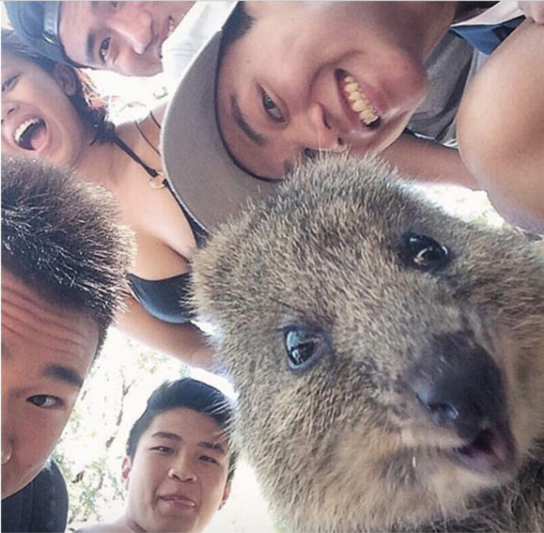 with-a-bunch-of-people-taking-a-selfie-f