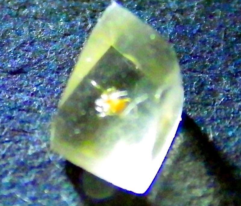 IMGP0261