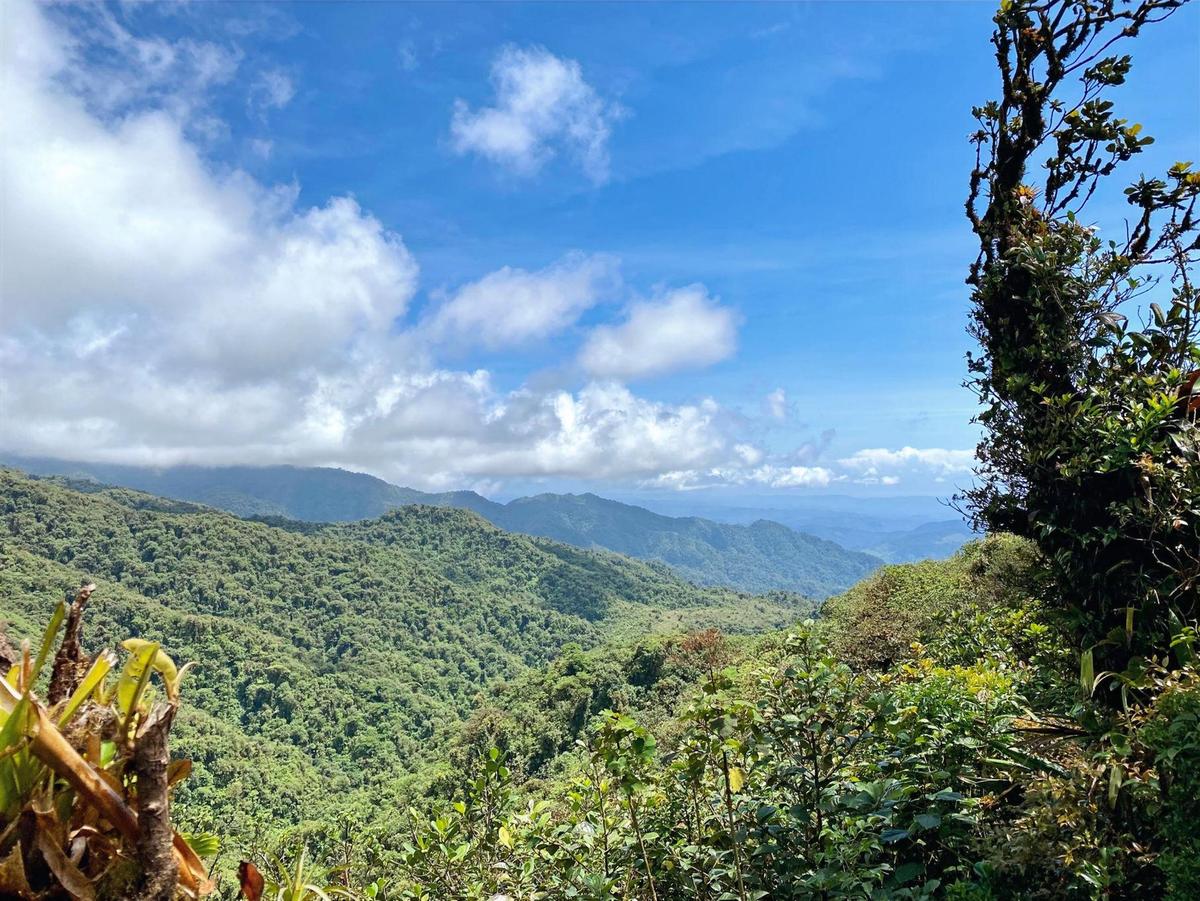 01f204 b119cb23170647dd8e4096efb4a686b4m