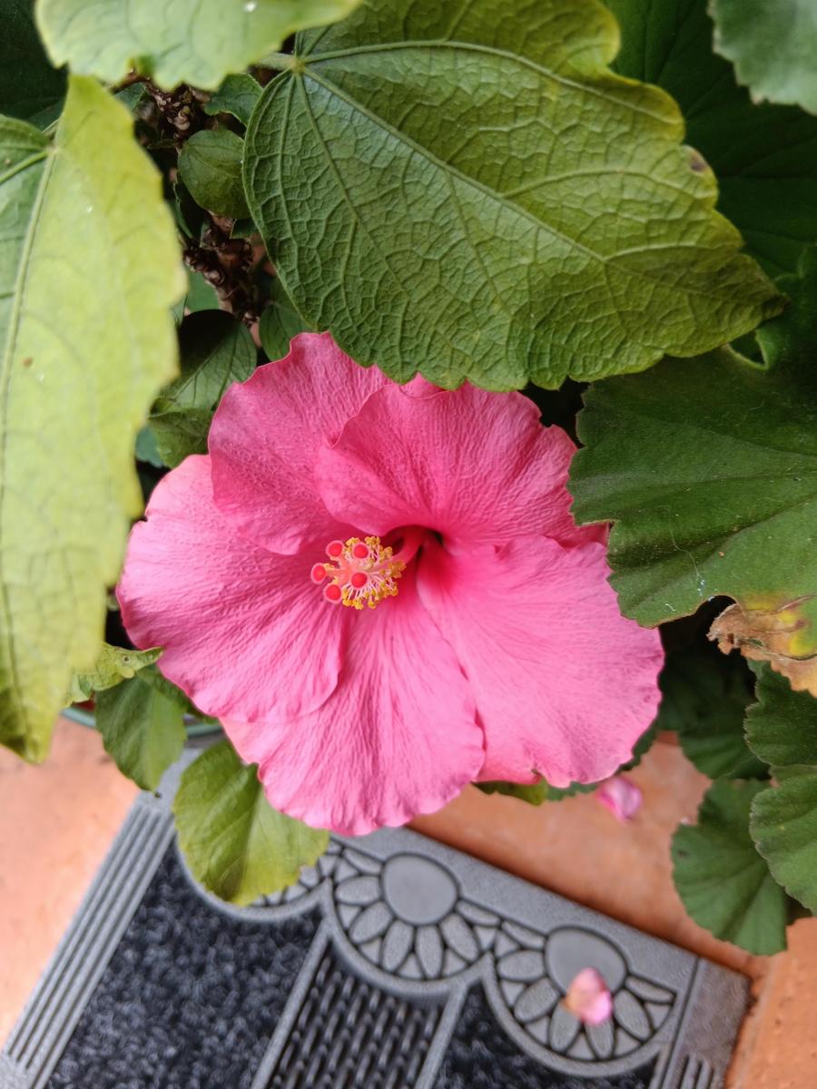 46e61738-1d75-481e-8afd-01be51df0cad