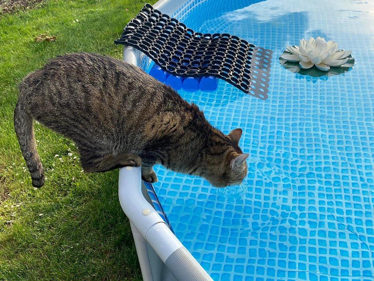 poolrand